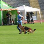 Haifa vom Fichtenschlag