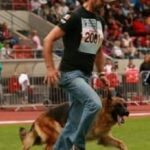 Haifa vom Fichtenschlag