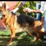 WhatsApp Image 2024-02-08 at 13.42.34