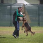 WhatsApp Image 2024-02-08 at 13.45.34