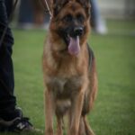 WhatsApp Image 2024-02-08 at 13.45.36