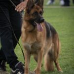 WhatsApp Image 2024-02-08 at 13.45.36 (2)