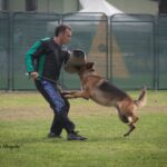 WhatsApp Image 2024-02-08 at 13.45.37 (1)