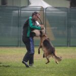 WhatsApp Image 2024-02-08 at 13.45.37 (2)