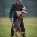 WhatsApp Image 2024-02-08 at 13.45.37 (4)