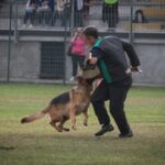 WhatsApp Image 2024-02-08 at 13.45.38