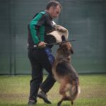 WhatsApp Image 2024-02-08 at 13.45.38 (2)