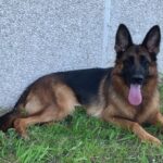 WhatsApp Image 2024-02-08 at 14.54.02 (4)