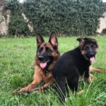 WhatsApp Image 2024-02-08 at 17.20.59