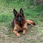 WhatsApp Image 2024-02-08 at 18.04.48