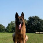 WhatsApp Image 2024-02-08 at 18.05.07