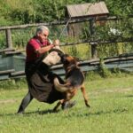 WhatsApp Image 2024-02-08 at 18.08.11 (1)