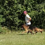 WhatsApp Image 2024-02-08 at 18.08.11