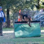 WhatsApp Image 2024-02-09 at 09.31.28 (1)