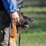 WhatsApp Image 2024-02-09 at 09.31.28