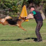 WhatsApp Image 2024-02-09 at 09.31.28 (4)