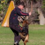 WhatsApp Image 2024-02-09 at 09.31.29