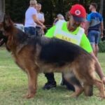 WhatsApp Image 2024-02-09 at 09.53.10