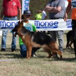 WhatsApp Image 2024-02-09 at 09.53.27 (3)