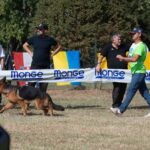 WhatsApp Image 2024-02-09 at 09.53.27 (5)