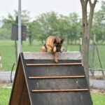 WhatsApp Image 2024-02-19 at 10.33.41